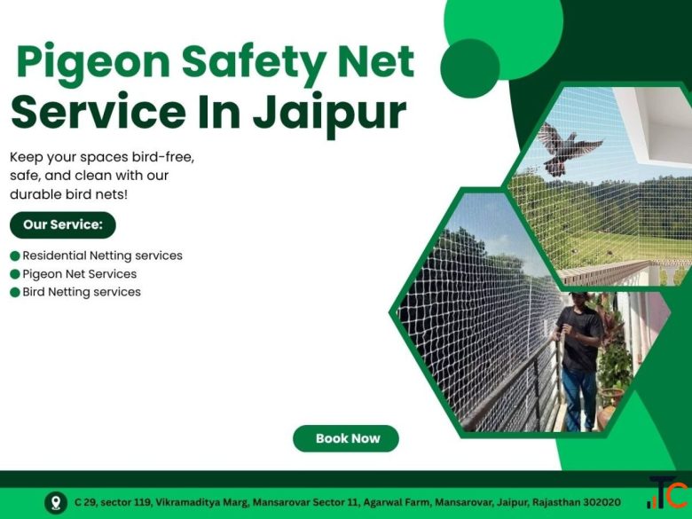 Pigeon Safty Net Services in Jaipur Experts