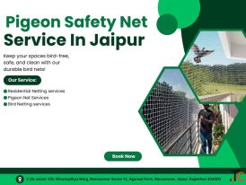 Pigeon Safty Net Services in Jaipur Experts