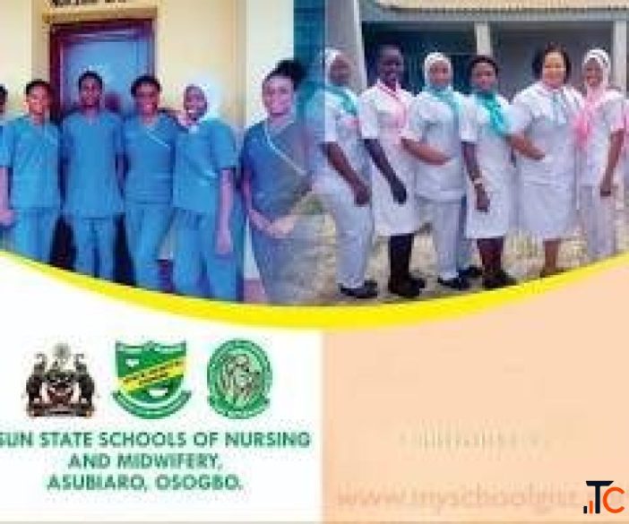 School Of Nursing S.O.N. State Hospital Oshogbo Osun State 20262027 Nursing form admission form is s