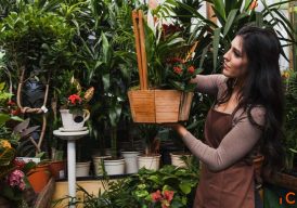 Create a Beautiful Home Garden with Simple Gardening Ideas