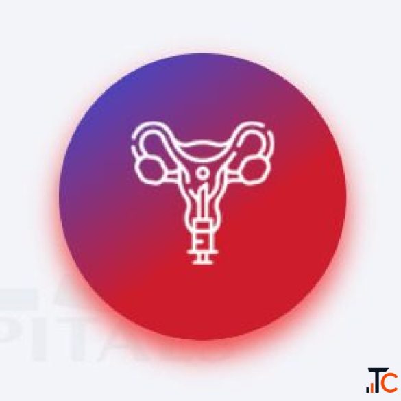 Laparoscopic Hysterectomy Surgery in Raipur