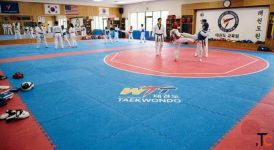 Taekwondo Mats at Best Price in India