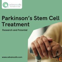 Parkinson's Stem Cell Treatment Research and Potential
