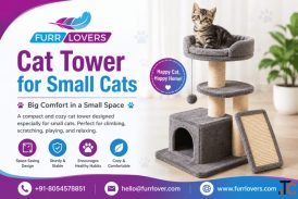 Cat Tower For Small Cats Online