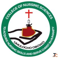 School of Nursing S.O.N. UmuloghoObowo Imo state 20262027 admission form is still on sale call The S