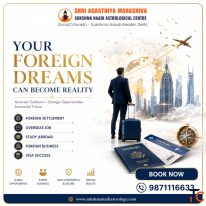 Foreign Settlement Astrology Overseas Job Study Abroad Visa Guidance