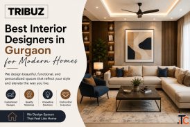 Professional Office Interior Designers in Gurgaon - Tribuz Interiors
