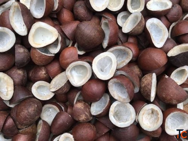 Premium Indian Agricultural Food Products Exporter Bulk Supplier Siya Worldwide