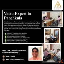 Vastu Expert in Panchkula