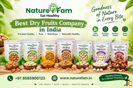 Best Dry Fruits Company in India - Premium Quality Naturefam