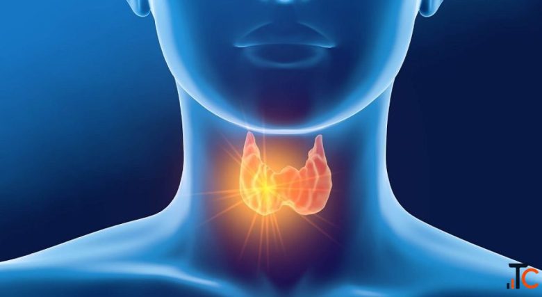 Book Thyroid Stimulating Hormone TSH Blood Test Online - Max Lab