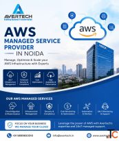 Aws managed service provider in Delhi