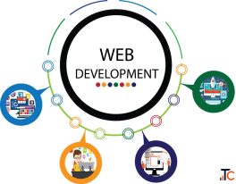 Digital Edu Skill Best Web Development Training Institute in Jamia Nagar