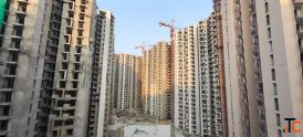 Amrapali Dream Valley High Life 2 Techzone 4 Noida Extension - 123 BHK Flats
