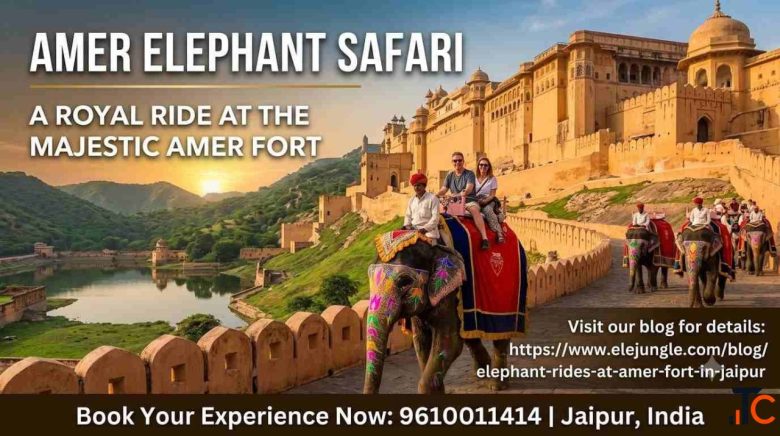 Relive Royal History with Amer Elephant Safari