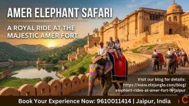Relive Royal History with Amer Elephant Safari