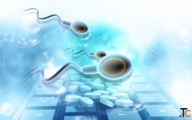 How can top cryopreservation services in Kolkata help in your fertility treatment