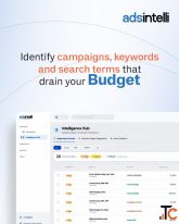 Adsintelli Google Ads Optimization Powered by Daily AI Analysis