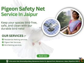 Pigeon Safety Net Service in Jaipur Homes