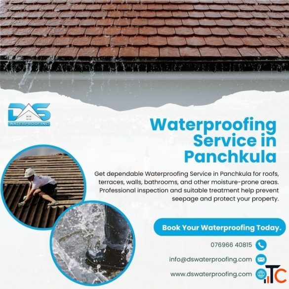 Waterproofing Service in Panchkula
