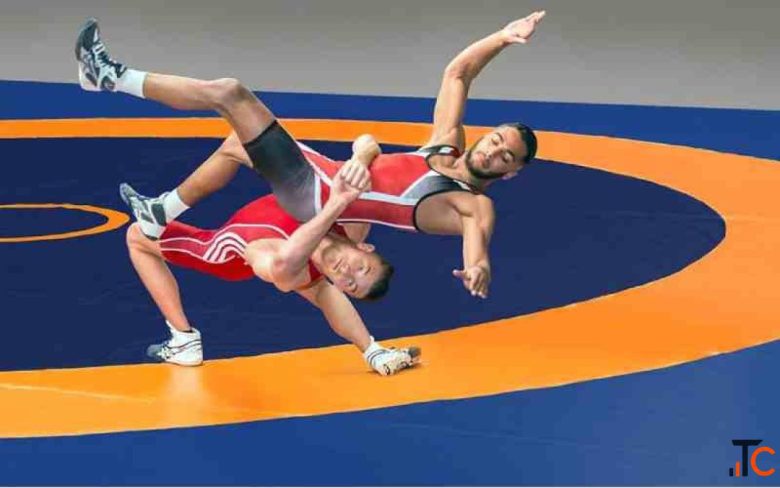 Wrestling Mat In Delhi India at Best Price