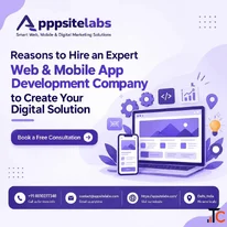 Professional App Development Agency in Delhi